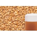Ячменный солод "BEST MALZ - Caramel Aromatic", 5 кг