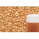 Miežu iesals "BEST MALZ - Caramel Aromatic", 5 kg