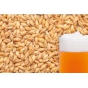 Ячменный солод "BEST MALZ - Pale Ale", 5 кг