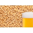 Ячменный солод "BEST MALZ - Pilsener", 5 кг
