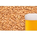 Пшеничный солод "BEST MALZ Wheat" 5 кг