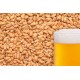 Kviešu iesals "BEST MALZ Wheat" 5 kg