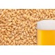Miežu iesals "BEST MALZ - Pilsener", 25 kg