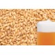 Miežu iesals "BEST MALZ - Pilsener", 1 kg